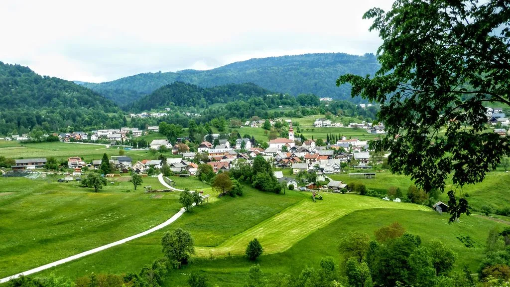 Zimzeleni po Riklijevi poti v okolici Gornjih Gorij
