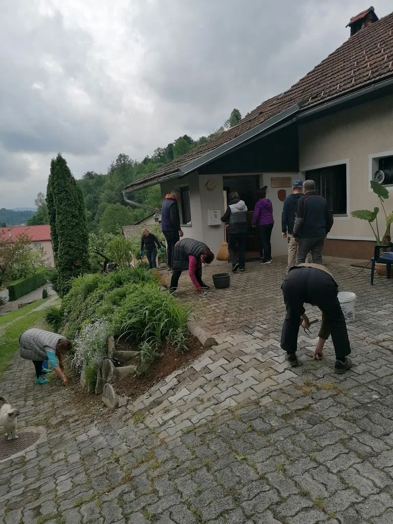 Čajanka