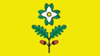 Informacija o sanaciji nadstreška pri OŠ Dobrova