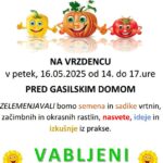 Zelemenjava na Vrzdencu