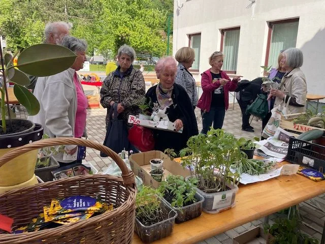 Dobro obiskana Flancarija in bolšji sejem v Dragomerju